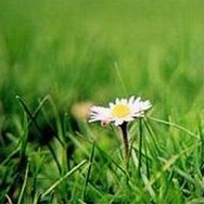 Energie Effizient Nutzen